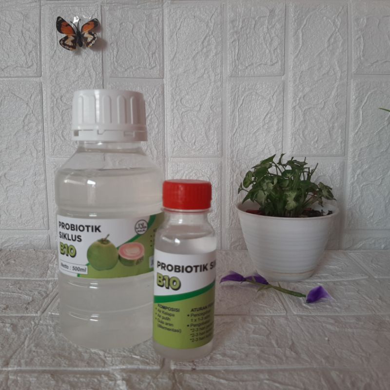 Probiotik Siklus B10 100ml
