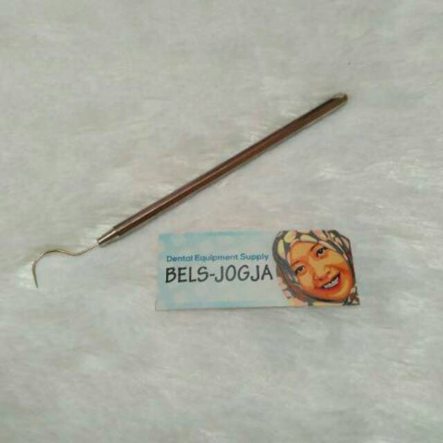 Sonde stainless
