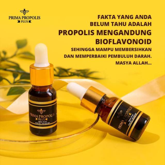 Propolis | Prima Propolis Plus