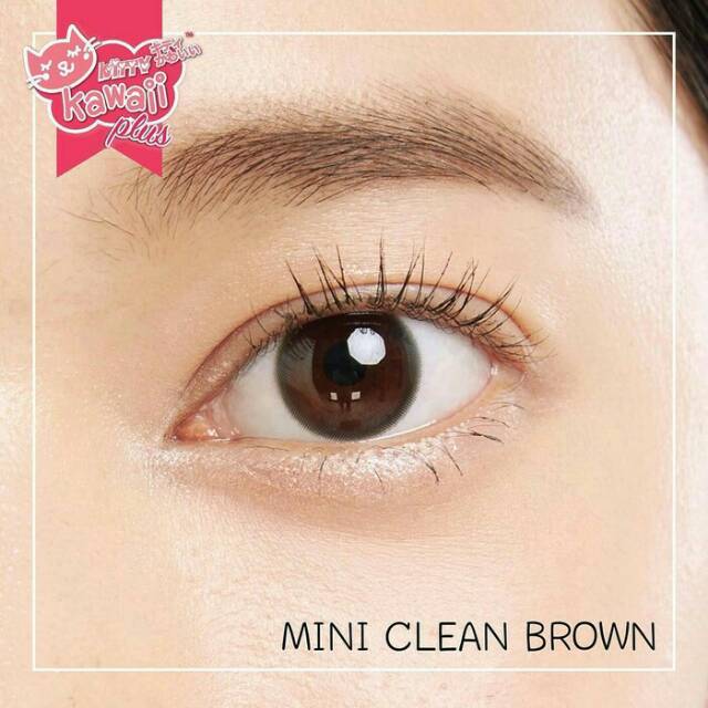 Softlens mini clean black dan brown