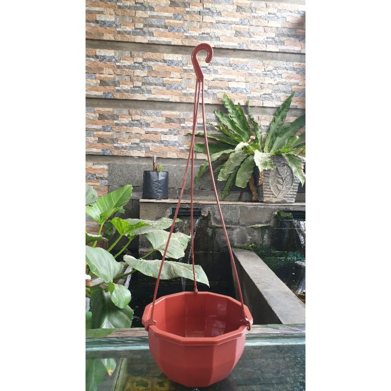 Pot Segi Rolas