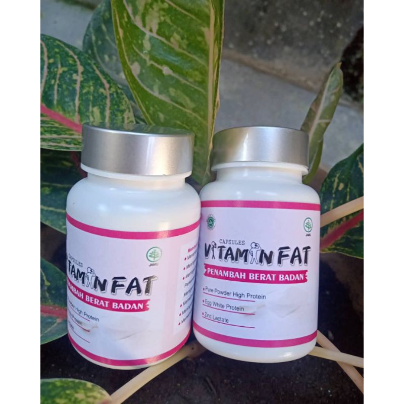 vitaminfat paket B