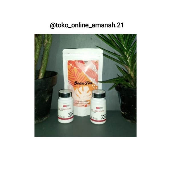 PAKET PASTI LANGSING (MR.ORIGINAL PLUS + BEAUTEA)
