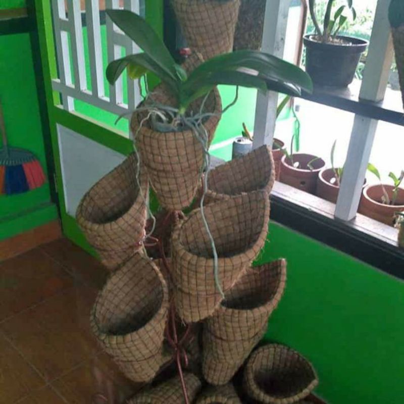 serba pot