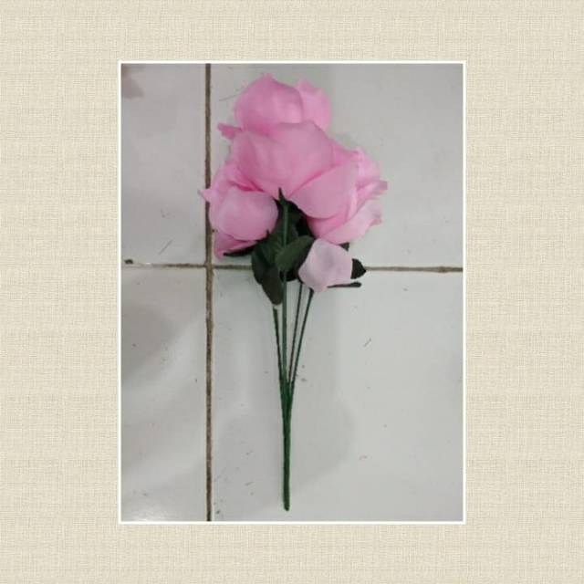 Rose beauty