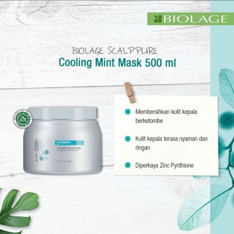 Matrix Biolage Scalppure Cooling Mint 500gr