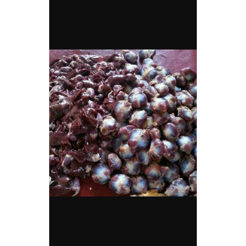Ampela ayam
