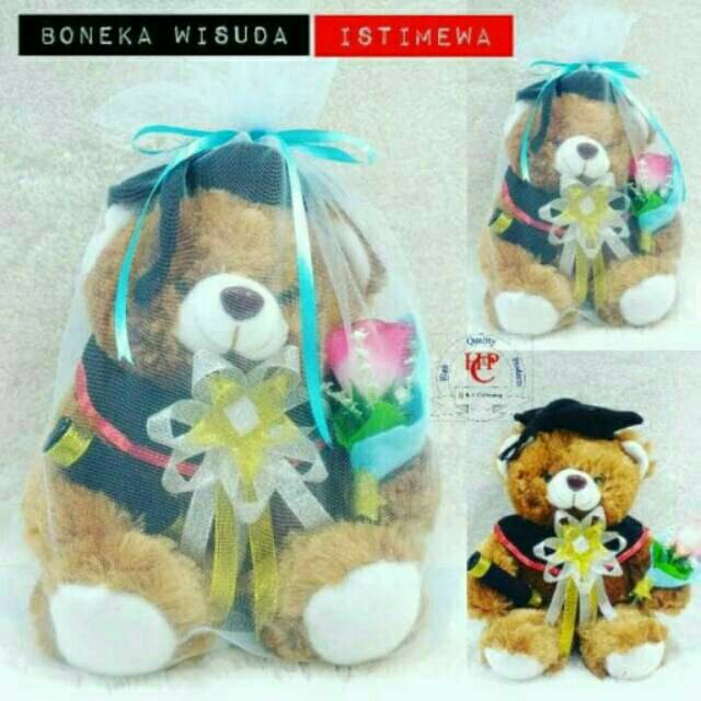 BONEKA WISUDA TEDDY BEAR ISTIMEWA