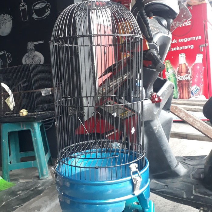 tebok premium saka jaya