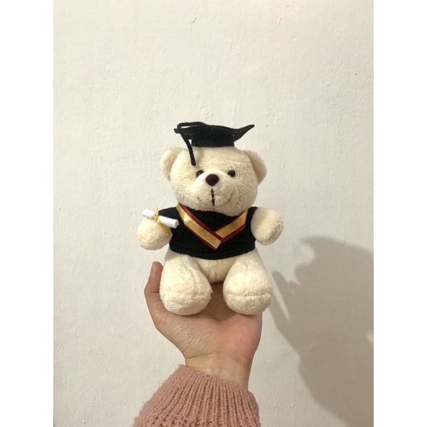 Boneka Wisuda/Boneka Teddy Bear Wisuda