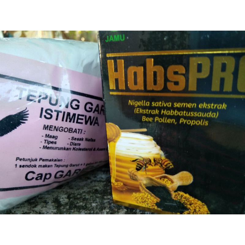 paket obat lambung manjur
