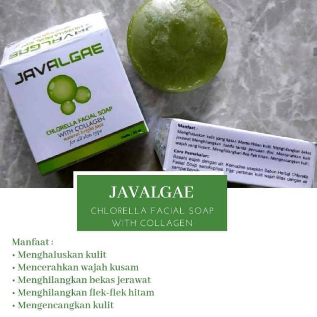 Javalgae