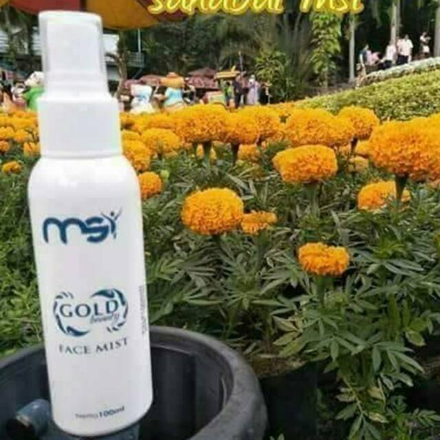 Face Mist MSI (ori)