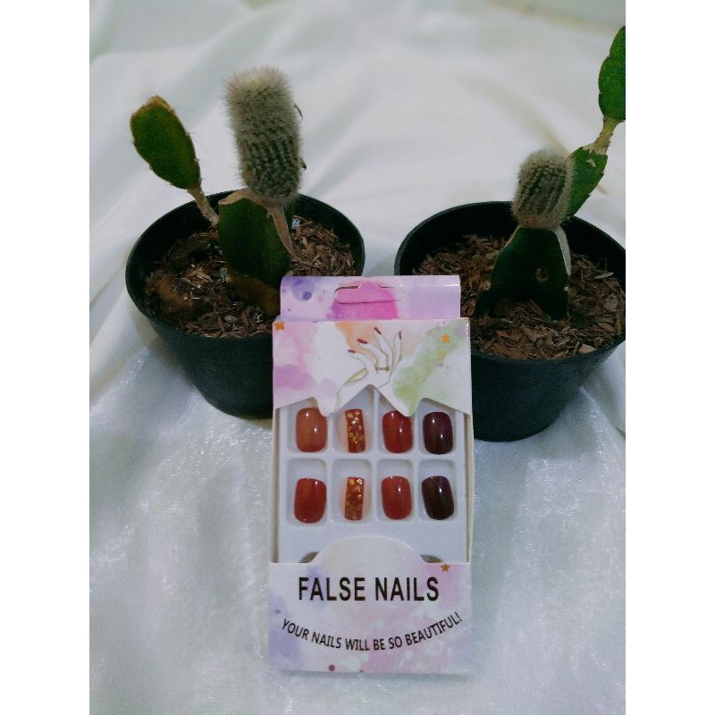 Fake Nails maroon motif 24pcs/set