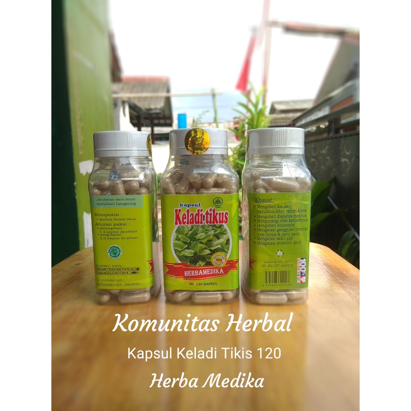 EKSKLUSIF KAPSUL KELADI TIKUS 120 !!