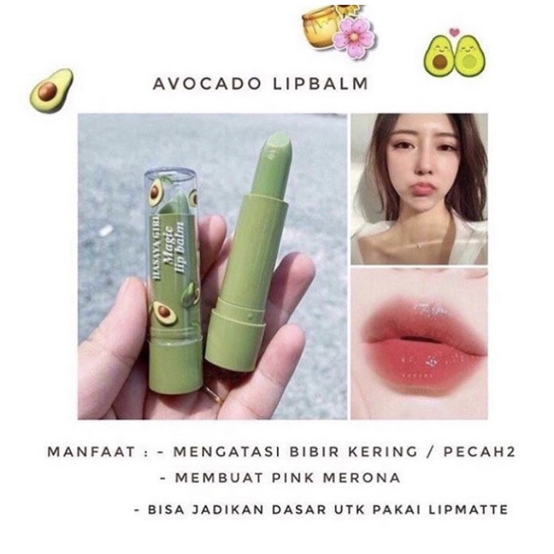 Hasaya Avocado lipbalm