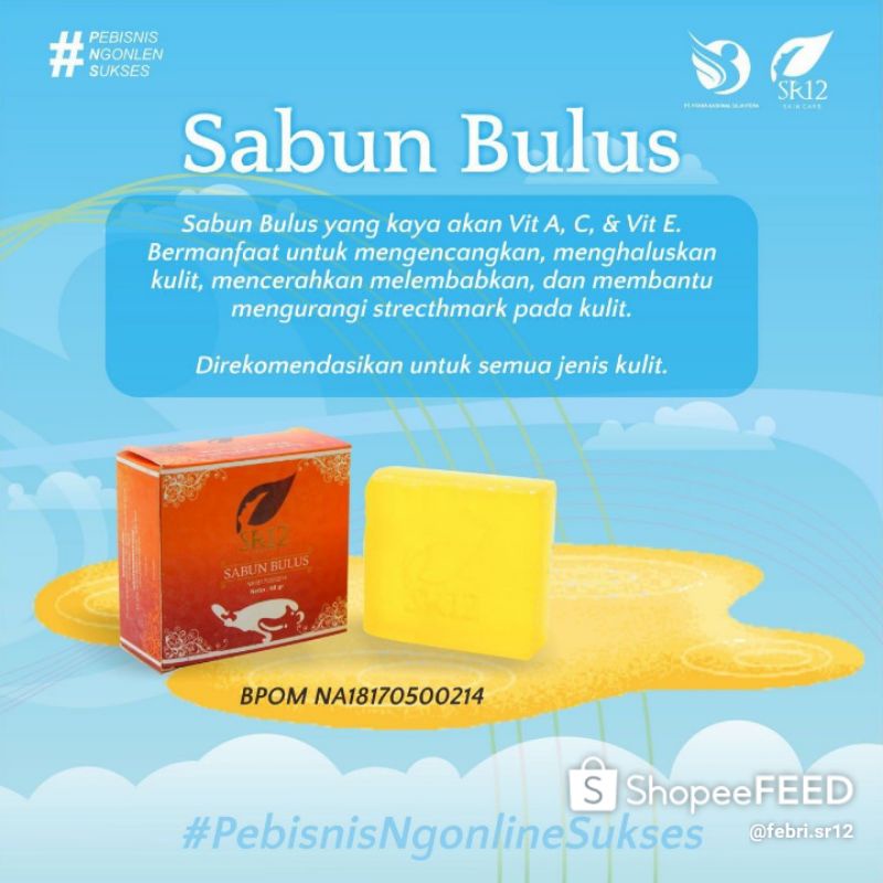 sabun bulus SR12