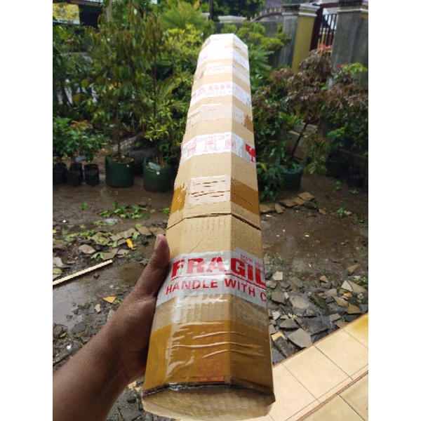 Bibit Sawo