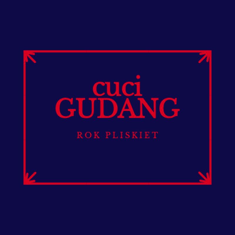 CUCI GUDANG ROK PLISKIET