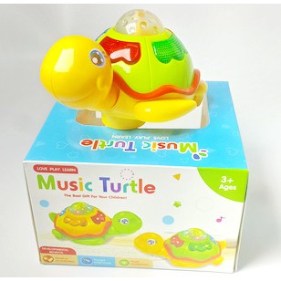 Magic Turtle Baterai