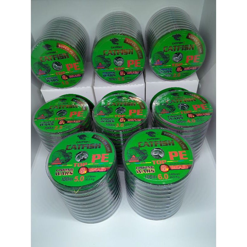 Catfish Pe X8 100 meter multi colour