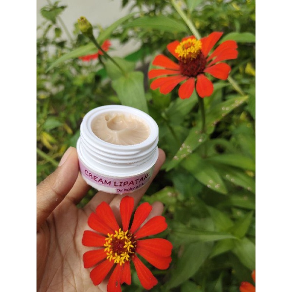 cream Lipatan