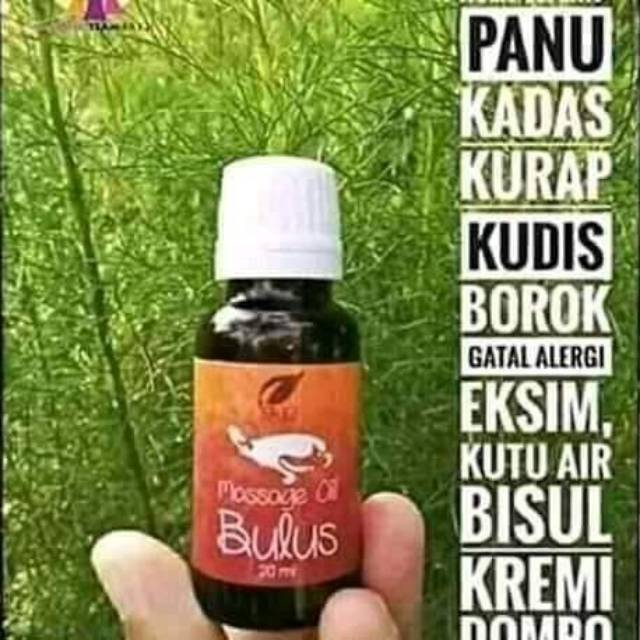 Minyak bulus