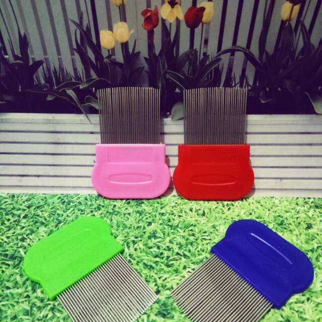 Sisir kutu atau serit kutu