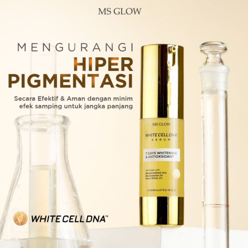 White Cell DNA Serum Msglow