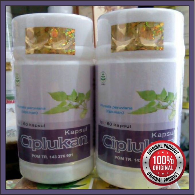 KAPSUL CIPLUKAN OBAT HERBAL KENCING MANIS