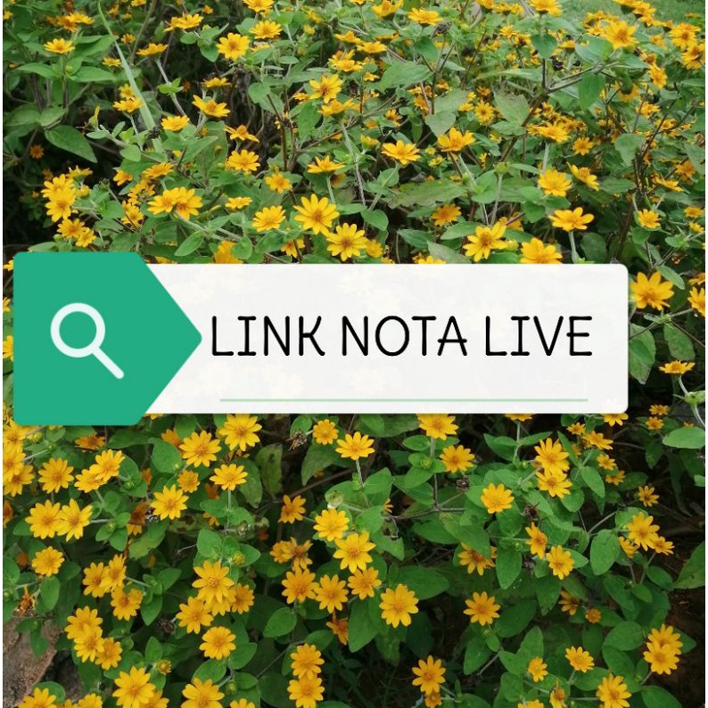 nota ka ema
