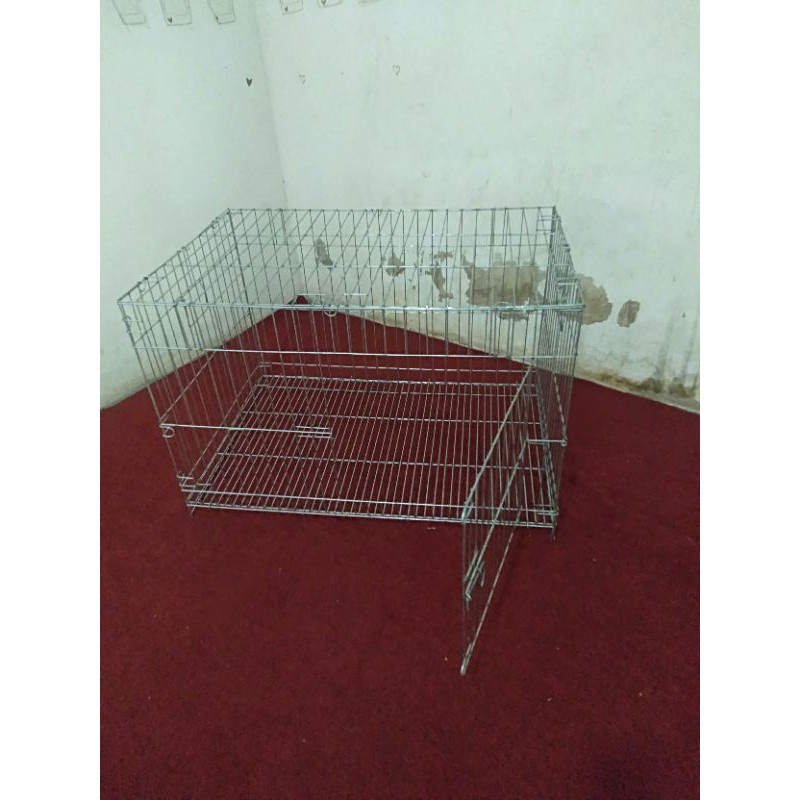 kandang kucing
