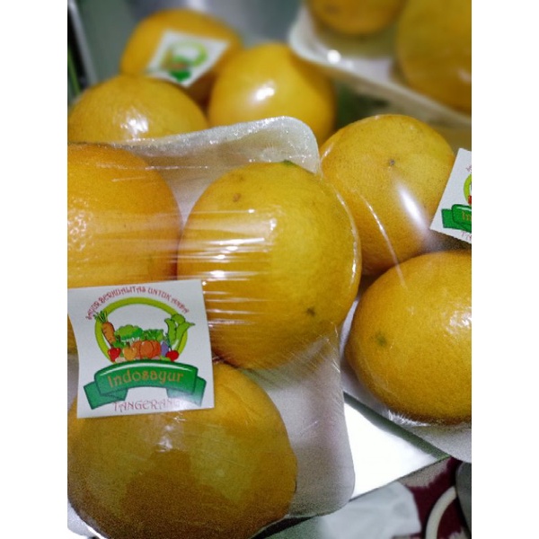 jeruk lemon lokal