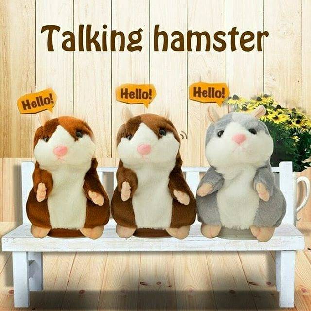 Talking hamster