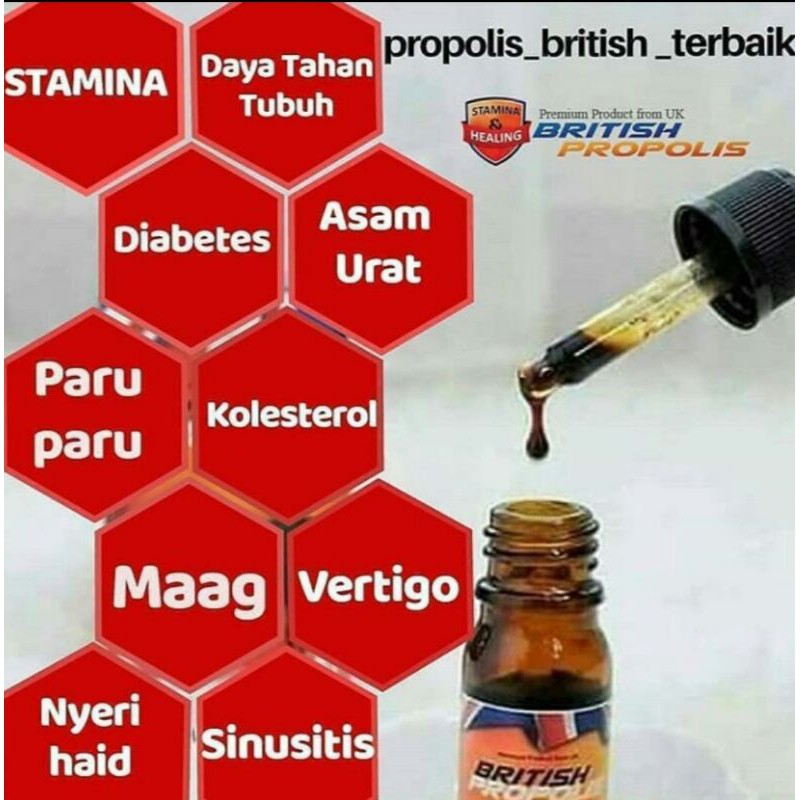 British propolis