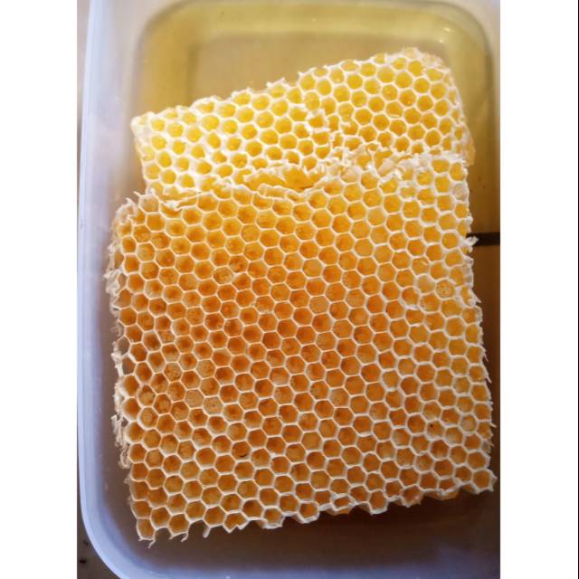 COD 500gr aarang madu melifera