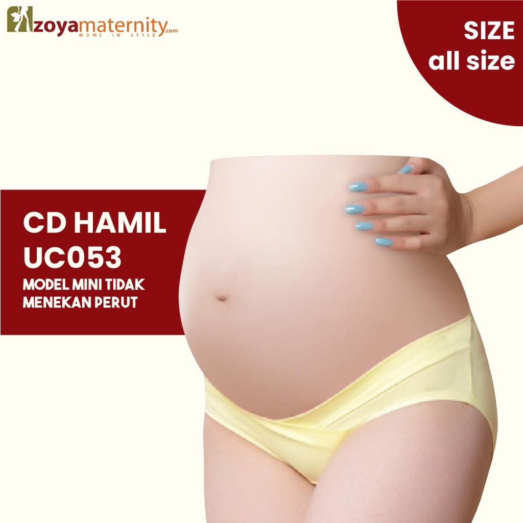 2 pcs CD Hamil UC053