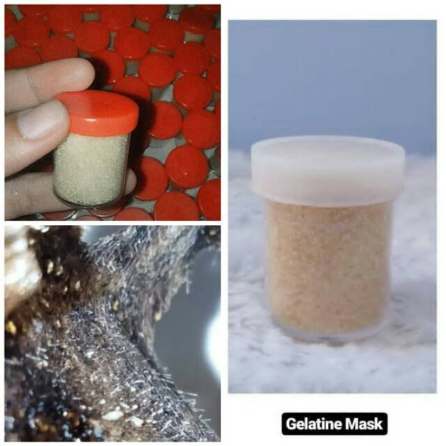 MASKER GELATIN