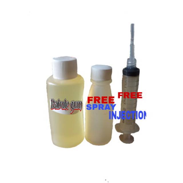 Bibit parfum buble gum