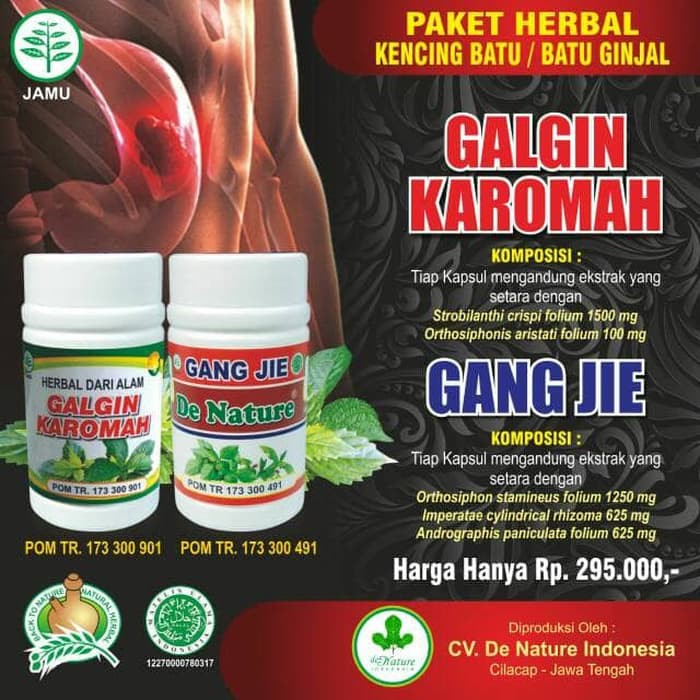 Obat Batu Ginjal