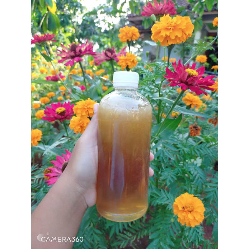 Madu murni multifloral