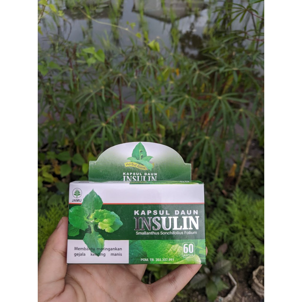 Kapsul Ekstra Daun Insulin Amanah