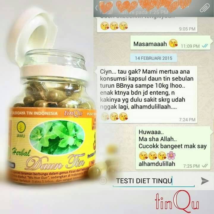 Kapsul Daun Tin # Herbal Penurun BB