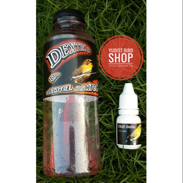 DEXTRO 87 & CIAK BULU