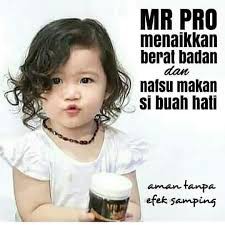 MR PRO SOLUSI BADAN BERISI