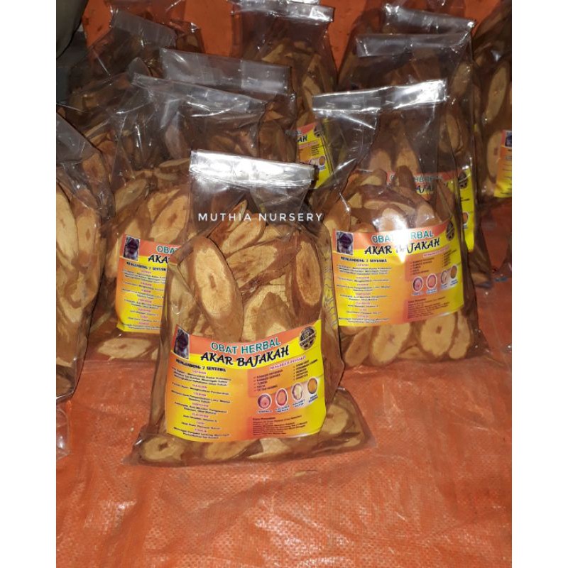 AKAR BAJAKAH OBAT HERBAL