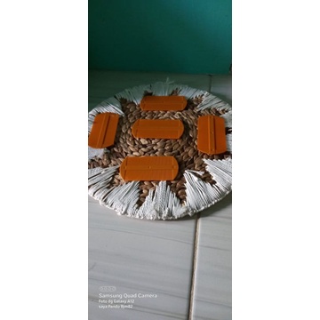 SISIR KUTU