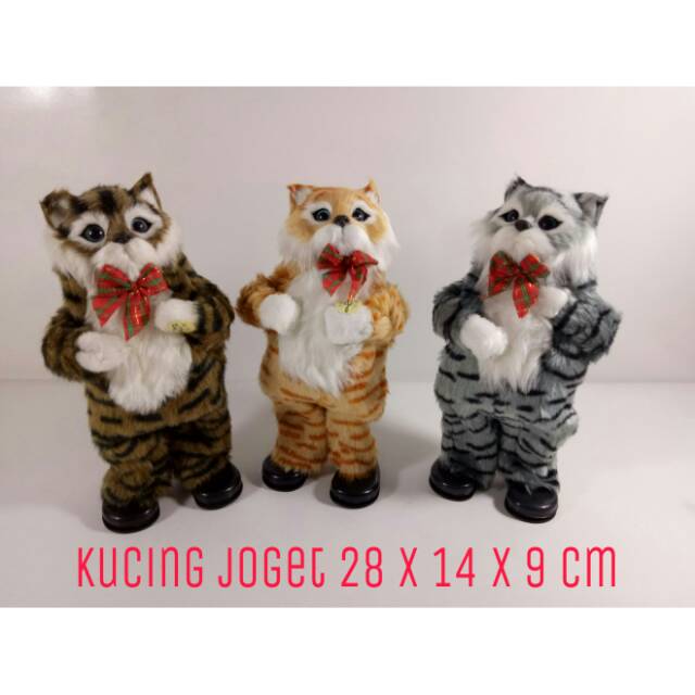 Mainan kucing joget