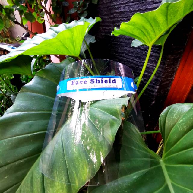 FACE SHIELD Dewasa Premium ( MURAH )