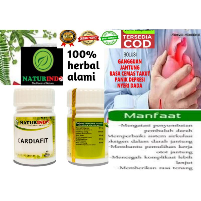 obat sakit jantung